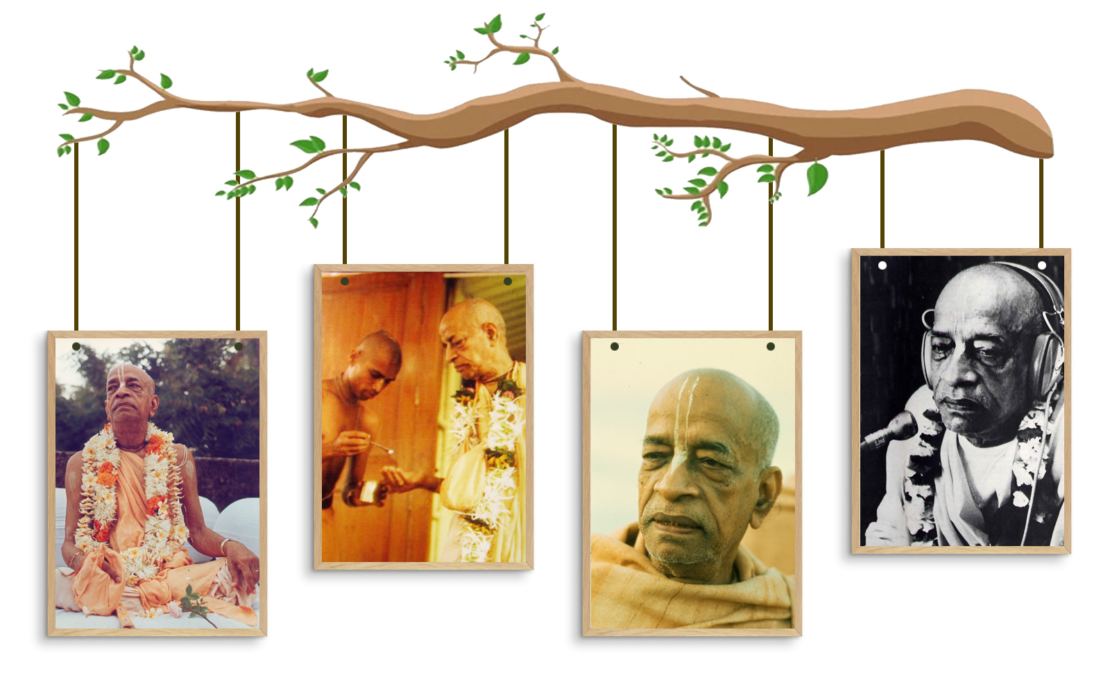Founder-acharya1